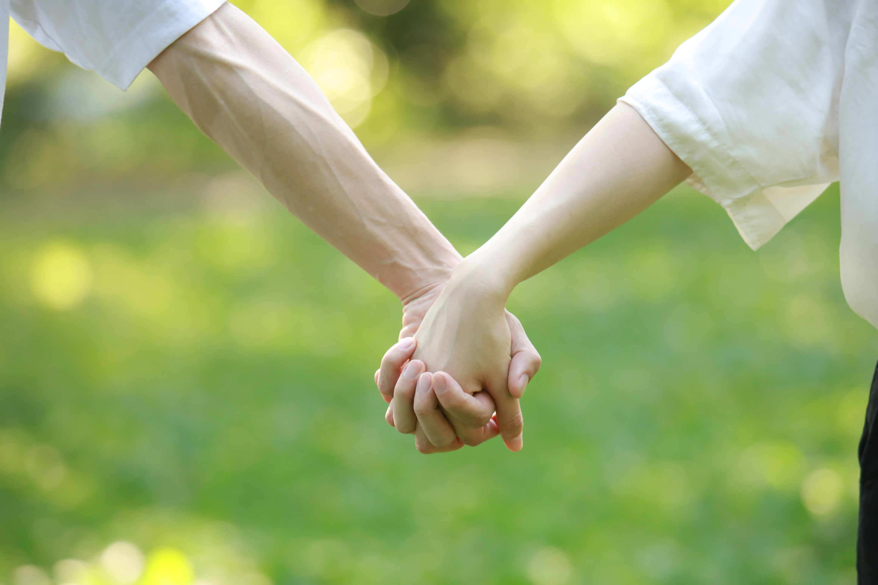 歴史の深みを感じられる＜家系譜＞もセットでご提供の写真